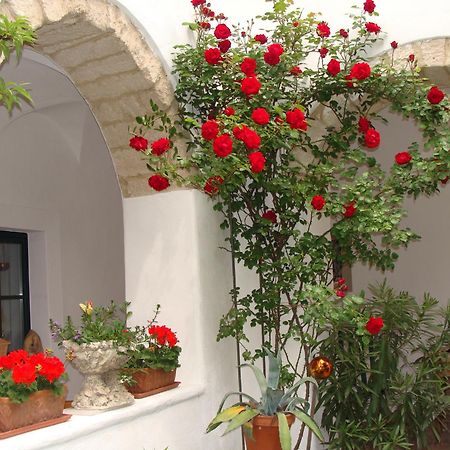 פורבאך אם ניוסידלרסי Gaestehaus Hans Moser מראה חיצוני תמונה